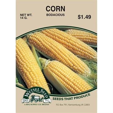 Wetsel Seed Corn - Bodacious (10g Packet)