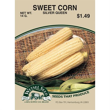 Wetsel Seed Corn - Silver Queen