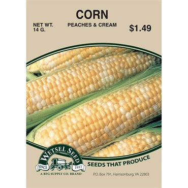 Wetsel Seed Corn - Peaches & Cream (10g Packet)