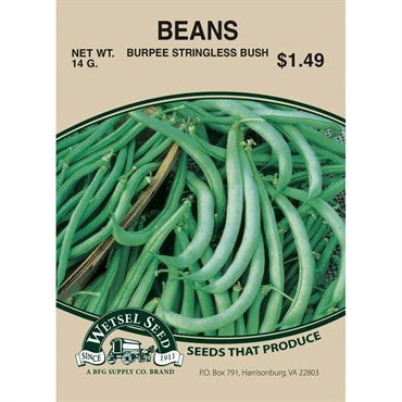 Wetsel Seed Beans - Burpee Stringless