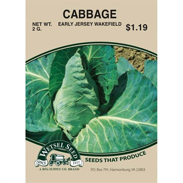 Wetsel Seed Cabbage - Early Jersey Wakefield