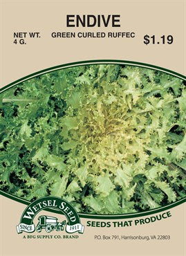 Wetsel Seed Endive - Green Curled Ruffec (4g Packet)