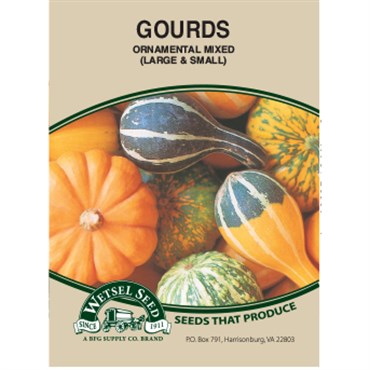 Wetsel Seed Ornamental Gourds - Large & Small Mixed (2g Packet)