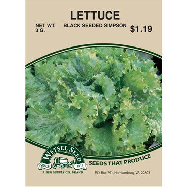 Wetsel Seed Lettuce - Black Seeded Simpson (3g Packet)