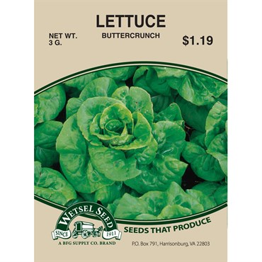 Wetsel Seed Lettuce - Buttercrunch