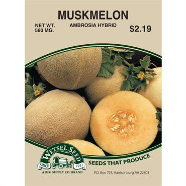 Wetsel Seed Muskmelon / Cantaloupe - Ambrosia