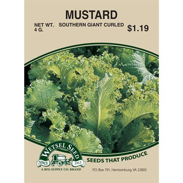 Wetsel Seed Mustard - Southern Giant Curled (4g Packet)