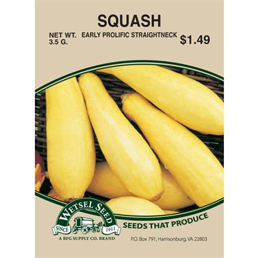 Wetsel Seed Squash - Early Prolific Straightneck (Zucchini) (3.5g Packet)