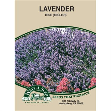 Wetsel Seed English True Lavender (280 mg Packet)