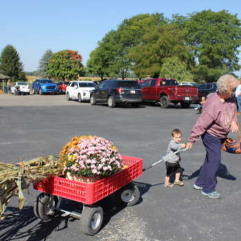 Belstra Farm & Garden