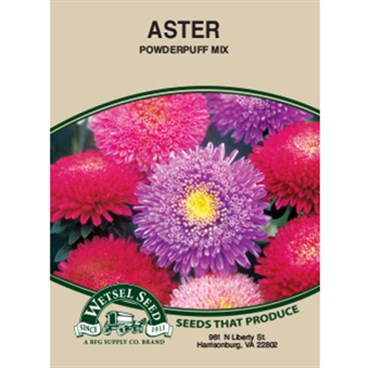 Wetsel Seed Aster Powder Puff Mix (470mg Packet)