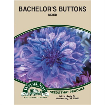 Wetsel Seed Bachelor Buttons