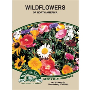 Wetsel Seed Wildflowers Glo-Coat Brand® North American Mix (470mg Packet)