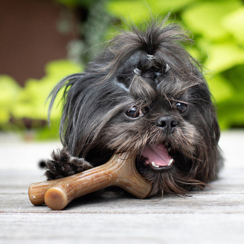 Benebone Bacon Stick