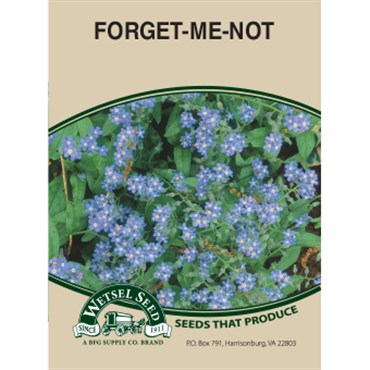 Wetsel Seed Myosotis Forget-Me-Not (280mg Packet)