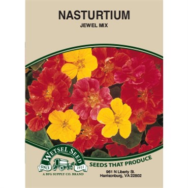 Wetsel Seed Nasturtium - Jewel Mix