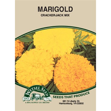 Wetsel Seed Marigold (African) Tall Crackerjack Mix (280mg Packet)