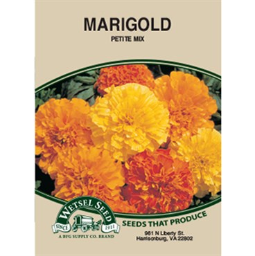 Wetsel Seed Marigold (French) Dwarf Petite Mix (Petite Series) (280mg Packet)