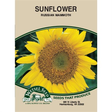 Wetsel Seed Sunflower Russian Mammoth