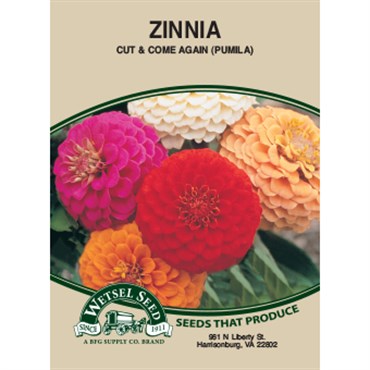 Wetsel Zinnia Seed - Cut & Come Again Mix (590mg, Yellow)