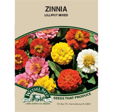 Wetsel Seed Zinnia Seed - Lilliput Mix