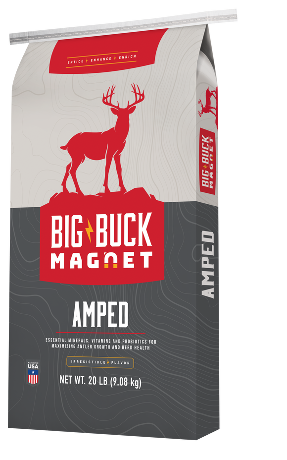 Big Buck Amped