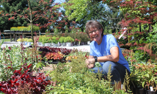 Garden center employee by plants