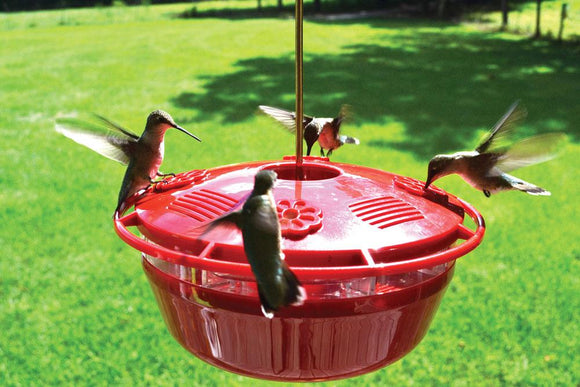 Humm-Yumm Bird Feeder