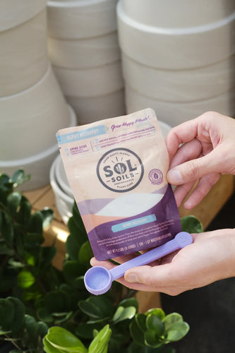 Sol Soils Sol Biotics Repot Recovery