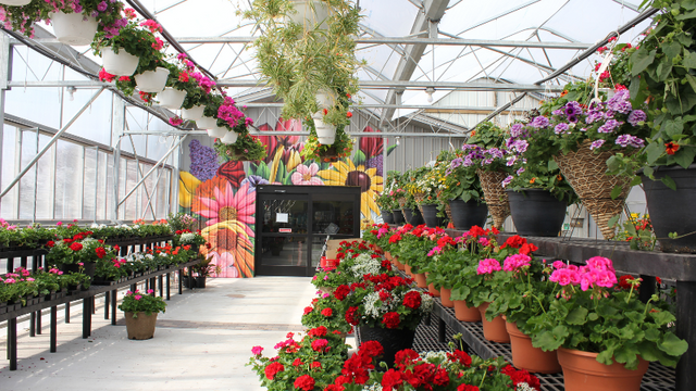 Plant nursery