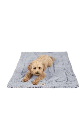 DGS Pet Products Chill Kuzzi Blanket