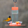 Nature's Way Bird Products Orange Blossom Glass Oriole Feeder w/ Jelly Attachments