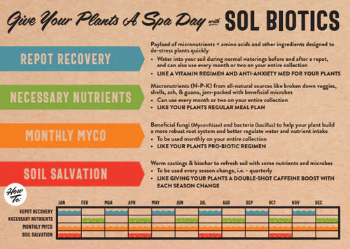 Sol Soils Sol Biotics Repot Recovery