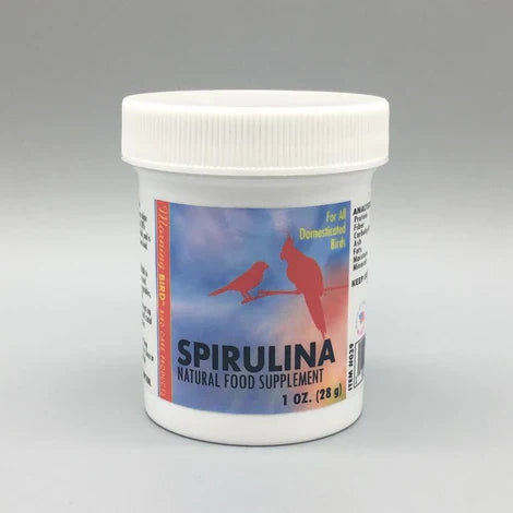 Morning Bird Spirulina