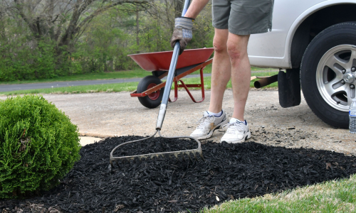 Raking mulch