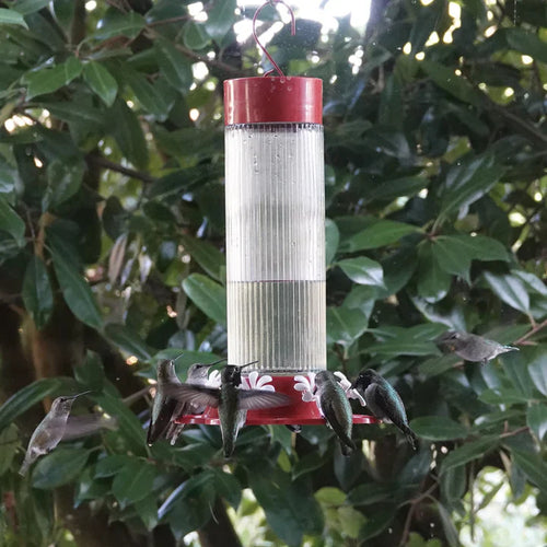 Nature's Way Bird Products Ribbed Rose Gravity Hummingbird Feeder