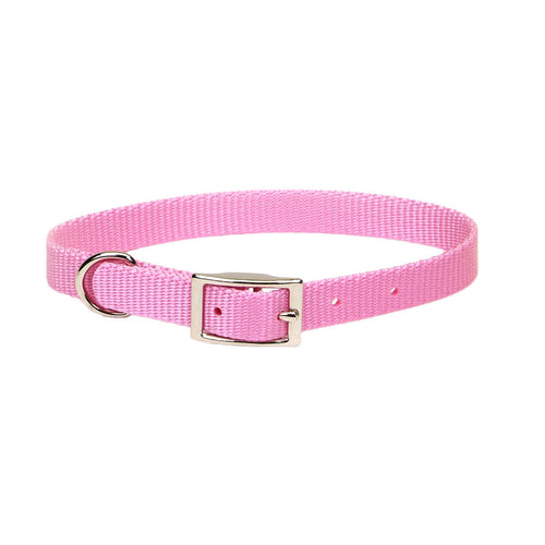 Coastal Single-Ply Dog Collar (5/8 X 12, Orchid)