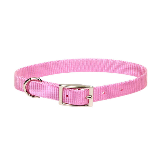 Coastal Single-Ply Dog Collar (5/8