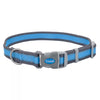 Coastal Pet Pro Reflective Adjustable Dog Collar (Fuscia with Teal, 8-12 x 3/4)