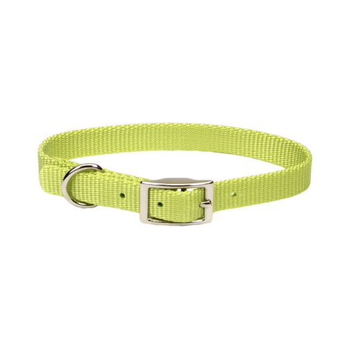 Coastal Single-Ply Dog Collar (5/8 X 12, Orchid)