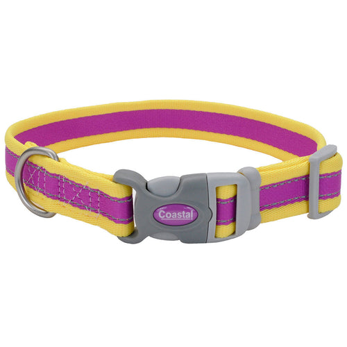 Coastal Pet Pro Reflective Adjustable Dog Collar (Fuscia with Teal, 8-12 x 3/4)