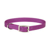 Coastal Single-Ply Dog Collar (5/8 X 12, Orchid)