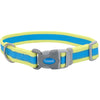 Coastal Pet Pro Reflective Adjustable Dog Collar (Fuscia with Teal, 8-12 x 3/4)