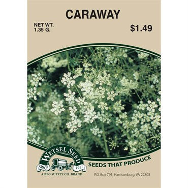 Wetsel Seed Caraway