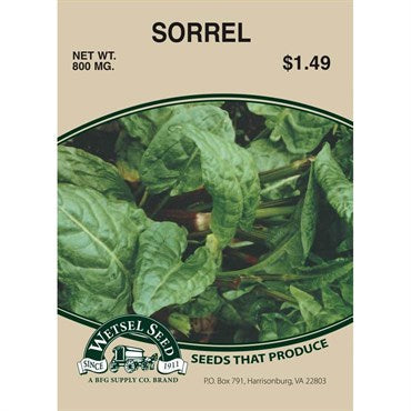 Wetsel Seed Sorrel