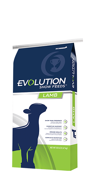Evolution Show Feeds Lamb HI-PRO