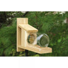 Songbird Essentials Squirrel Jar Feeder