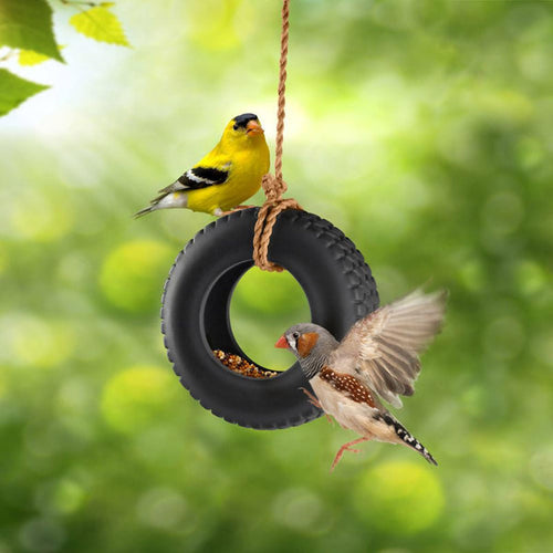 Fred Swing Time