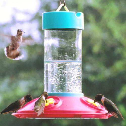 Songbird Essentials Original Dr JBs Clean Hummingbird Feeder