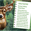 MasterPieces White Tail Deer 100 Piece Shaped Jigsaw Puzzle